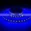 high birght LED ribbon Strip Europe Epistar Blue RGB DC 24V smd 3528 60 leds LED rope strip light lighting