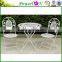 Folding Metal Wedding Outdoor Furniture