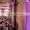 Guangzhou factory price led light source 5 x 12W colored changing christmas decorative lights