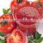 Tomato paste complete plant china