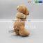 New Design Couple Bear Soft Toy for Baby