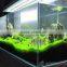 glass aquaculture fish tanks