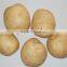 Price of Fresh Potato from Shandong Farmland