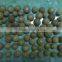 Betel Nut