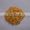 Best quality red chilli seeds sweet chilli seeds sweet paprika seeds