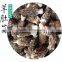 Frozen Processing Type Morels