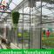 Hot sale large multi-span ecological restaurant greenhouse