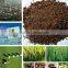 tea seed Granule contains Saponin