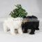 unStuffed Plush Animal Bear happy birthday decoration kids