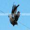 bird protection nets for catching birds and bird capture nets