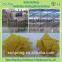 Automatic Corn Chips Making Machine