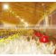 greenhouse / poultry house evaporative water cooling pad