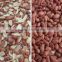 Grain,Wheat,Rice,Seeds,Dehydrated Vegetable,Recycle Plastic Color Sorter