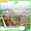 Agricultural Single Span Greenhouses