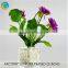 Square black clear glass vases for homedecoration