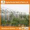 ShanDong trade assurance greenhouse equipment -aluminium profiles greenhouse for sale