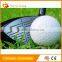 2 pieces practice blank golf ball high quality