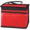 Laminated Non-Woven Six Pack Cooler Bag