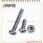 Brass Screw