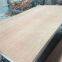 Good Quality Bintangor Plywood for Furniture and Packing