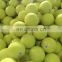 9.5" Promotional Big Size Pet Toy Tennis Ball