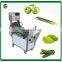 Leaf mustard garlic bolt vegetable cutting machine cucumber mengo fruit slicing/ shred/ dicing machine