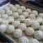 Automatic steam bun making machine/steamed bun maker/steamed stuffed bun machine