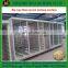 Best Factory offer Bean Sprouter Machine for sale