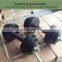 Wholesale Kids Exercise Equipment Cheap Electroplating Dumbbell Set