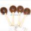 scrubbing brushes for kitchen  pot brush and coffee  pot brush