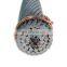 Hot Sale Transmission Line AAC ACSR AAAC Cable