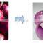 small onion skin peeling machine/automatic onion peeler/onion skin removing machine