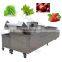 Small model low price automatic 1 phase water recycling fruit Water Bubble Washing Vegetable Cleaning Machine