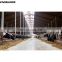 Galvanized frame building quick build prefab houses fabric cow barns