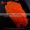 China factory wholesale ostrich feather from south africa