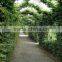 beautiful iron garden arch gate