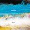 2015 Polular Single Ply Dyed Curly Ostrich Feather Boa In Stock