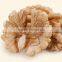 Hot Selling 2015 New Corp Wholesale Walnut kernel walnut meats