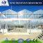 Venlo tempered glass/float glass greenhouse with hydroponic growing system