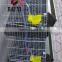 H Type Layer Metal Quail Cage With Automatic Water System For Sale On