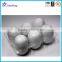 Custom Trasparent Blister Plastic Egg Tray,Transparent PET Blister Egg Tray