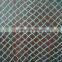 We selling Anti-bird net,professional bird net,protect net.