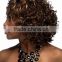 The new fashion star wig Curly hairpiece(HP-002)