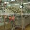 pig head scalding machine for pig slaughterhouse by product processing room