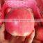 hot sale fruits and vegetables qinguan apples in stock