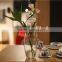 Newest Selling High Quality Home Decoration Different Types of Glass Vases