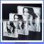 Hot new economic table top acrylic frame