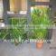 Translucent Natural Flower insert Eco-resin Panels