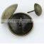Decorative Nail For Sofa :Classical nail/ Nickle nail/Golden nail and so on