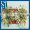 Trade Assurance Hot Selling Beautifl Christmas Tinsel Garland for Christmas Decoration and Wedding Decoration